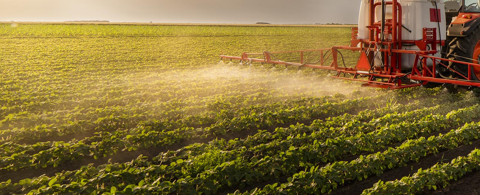 Farmer's Growth Is Our Wealth