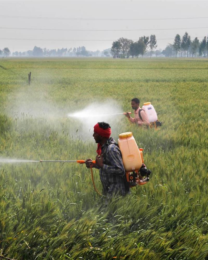 Fungicides