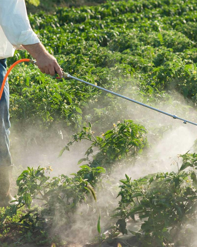 Insecticides